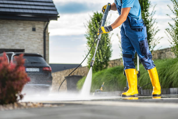 Best Roof Cleaning and Mildew Removal in Wright City, MO